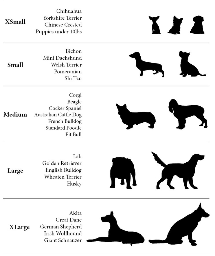 Transparent Dog Raincoat Size Guide
