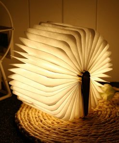 Booklovers Book Lamp