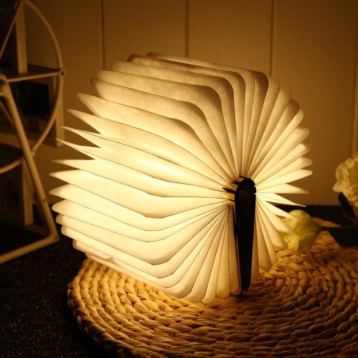 Booklovers Book Lamp