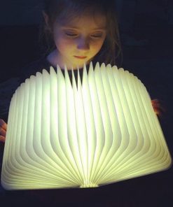 Wood Book LED Lamp