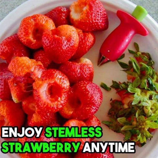 1-SEC Strawberry Stem Remover