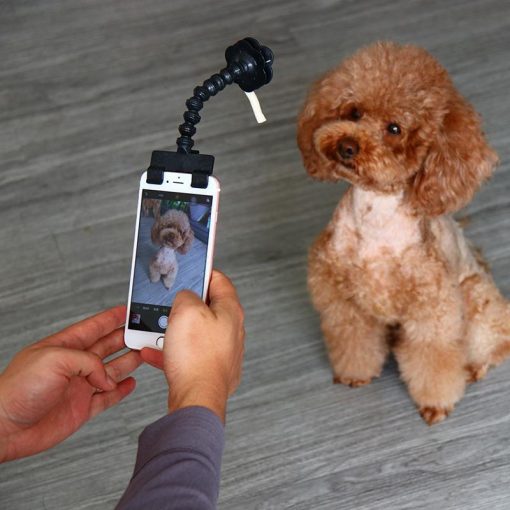 BriteDoggie Pet Selfie Stick - Image 5