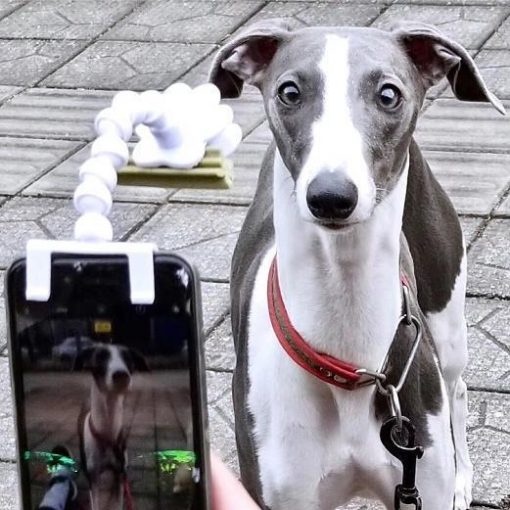 BriteDoggie Pet Selfie Stick - Image 4