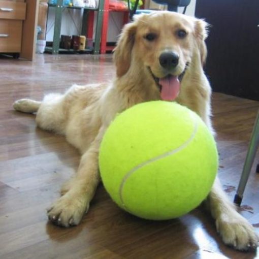 Doggy Jumbo Ball - Image 2