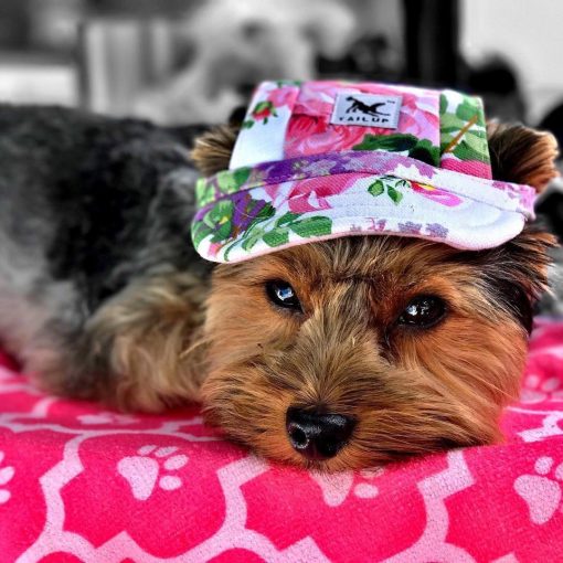 Custom Made Machiko Dog Hats... ADORABLE! - Image 3