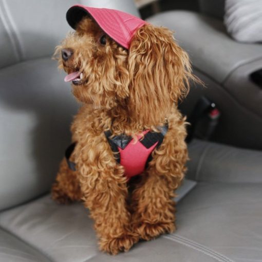 Custom Made Machiko Dog Hats... ADORABLE!