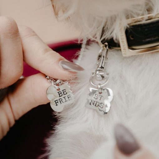 "Best Friend" Necklace & Tag for You & Your Dog!