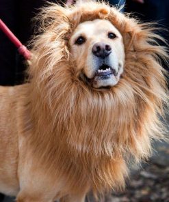 Lion Mane Wig for Dogs