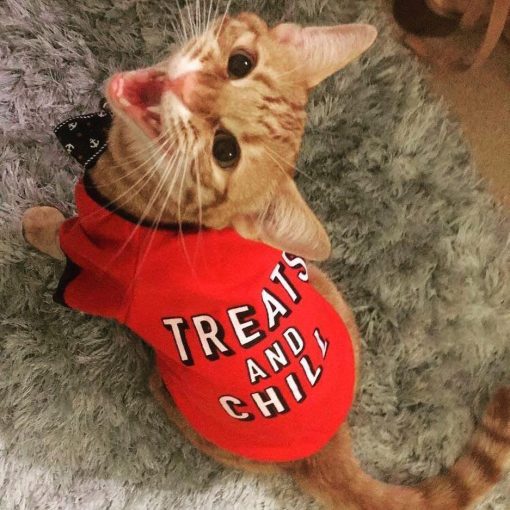 "Treats And Chill" Dog & Cat T-Shirt - Image 2