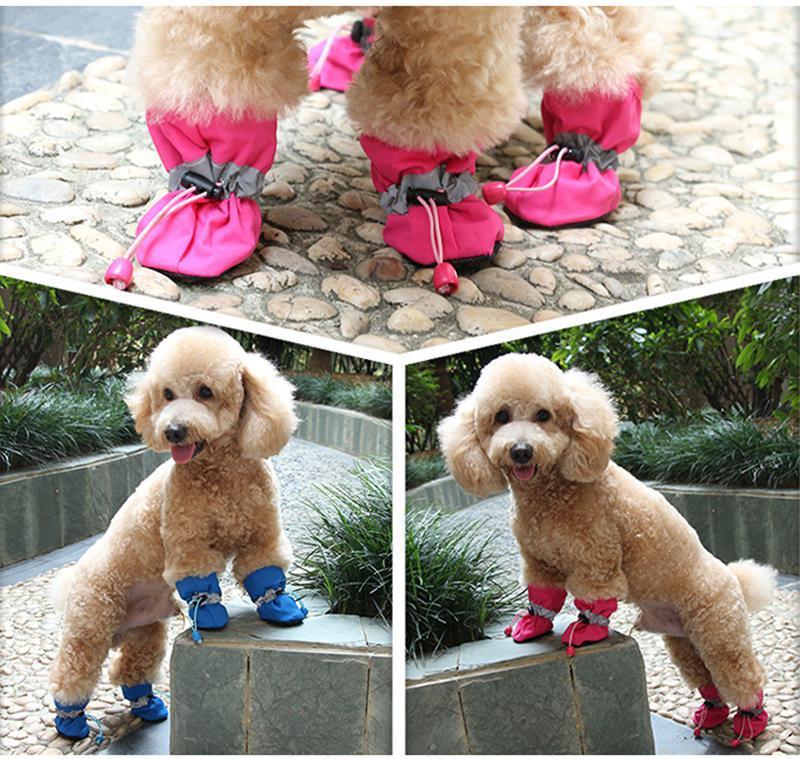 dog booties for cold weather