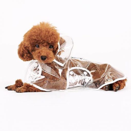 Transparent Dog Raincoat - Image 5