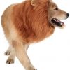 Pet Dog Lion Mane Wig