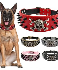 Skull 2″ Wide Spiked Studded Leather Dog Collar Pet Accessories