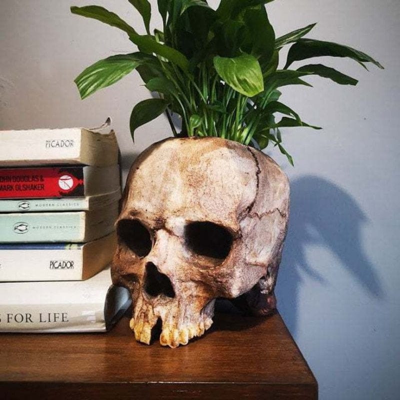 Skull Ornament Resin Flowerpot Skull Decoration