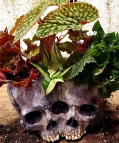 Double Skulls Ornament Resin Flowerpot Skull Decoration