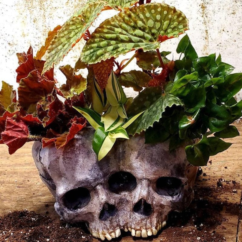 Double Skulls Ornament Resin Flowerpot Skull Decoration