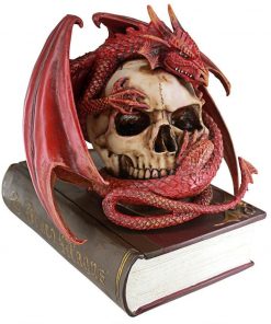 Skull Head Dragon Contemplation Sculptural Box