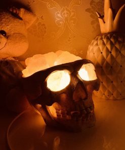 Skull Himalayan Crystal Salt Lamp USB Dimmable Night Light