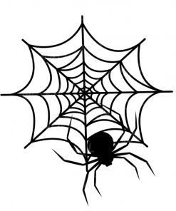 Spider With Web Image | Instant Download | Digital File | SVG | JPG | PNG | EPS
