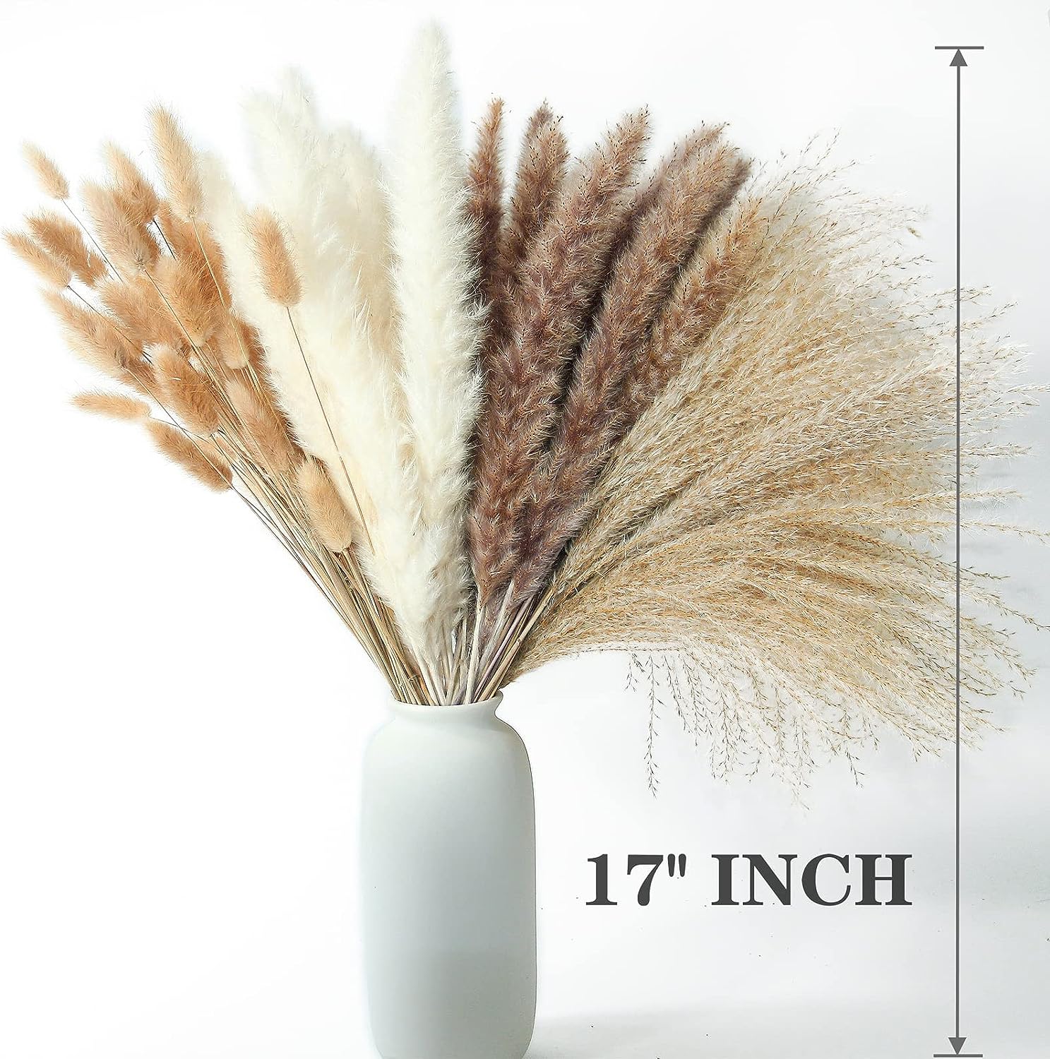 Dried Pampas Grass Decor, 100 PCS Pampas Grass Contains Bunny Tails Dried Flowers, Reed Grass Bouquet for Wedding Boho Flowers Home Table Decor, Rustic Farmhouse Party 3